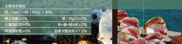 久久久久久久精品免费久精品蜜桃甲殼素活性中微量国产水蜜桃视频在线观看